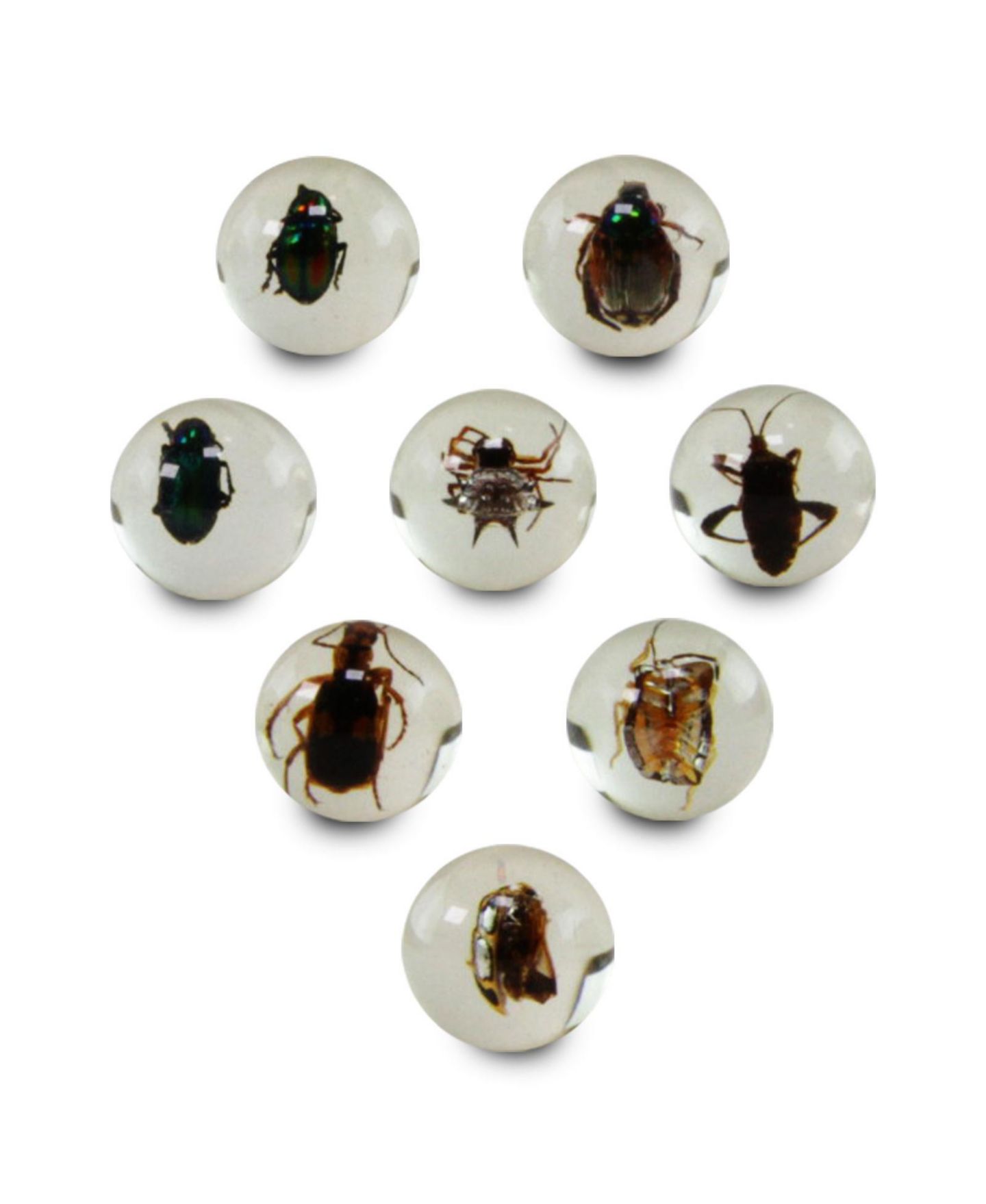 Детские игрушки Geoworld Bug Marbles, цвет: Open Miscellaneous — фото 2