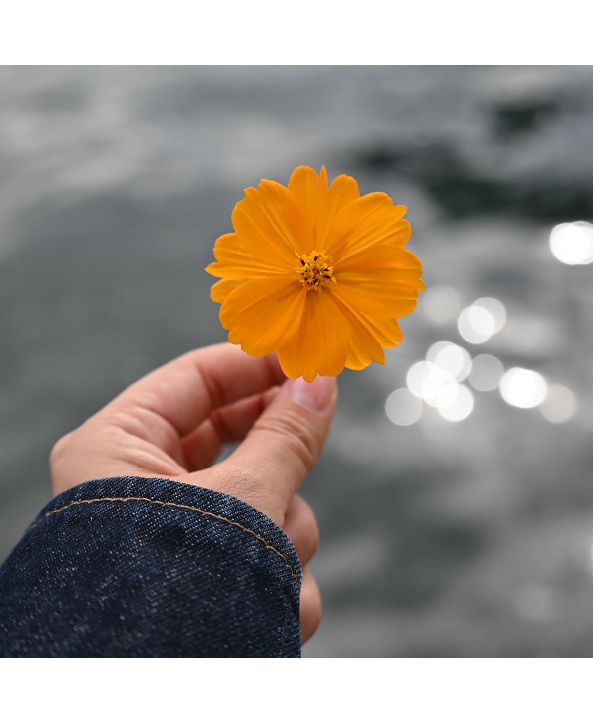 Nikon Nikkor Z 24-105mm f/4-7.1 Lens