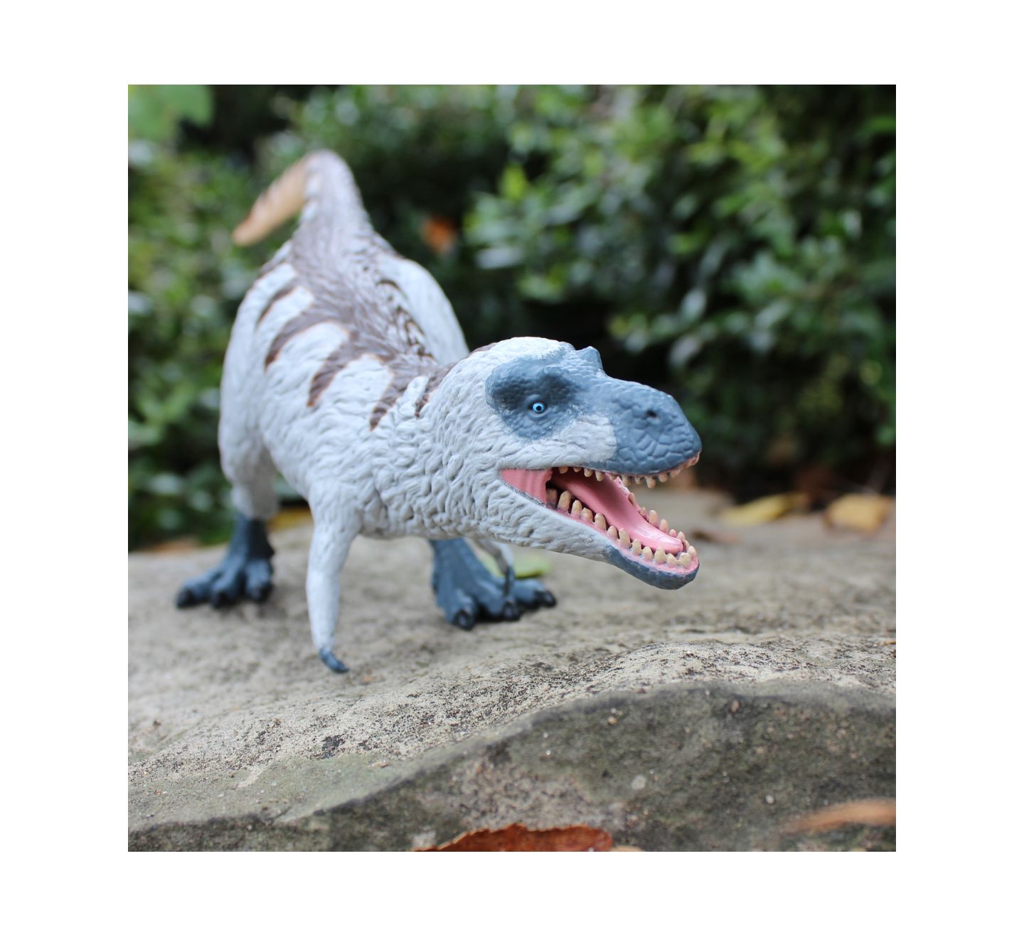 Детская фигурка Safari Ltd. Nanuqsaurus Wild Safari Prehistoric World Feathered 9.5", от 3 лет, цвет: Разноцветный — фото 3
