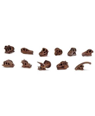 - Dinosaur Skulls