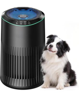 Small HEPA Air Purifier for Bedroom with Fragrance Sponge, Up to 225 Sqft