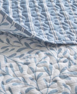 Darcy Print 3-Pc. Quilt Set, Full/Queen