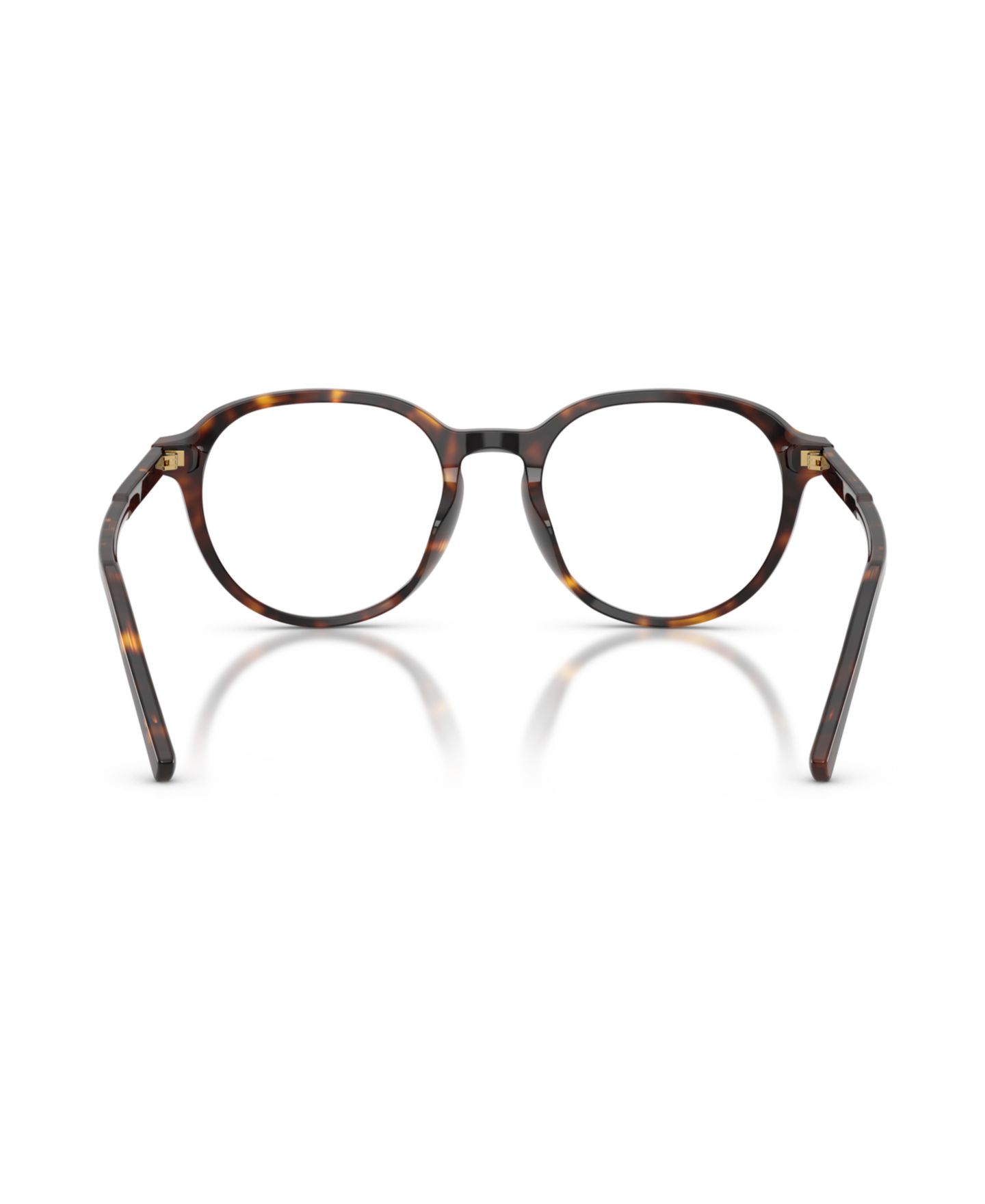Мужские очки Dolce&Gabbana Man Panthos Plastic DG3444 Eyeglasses, цвет: Гавана — фото 2