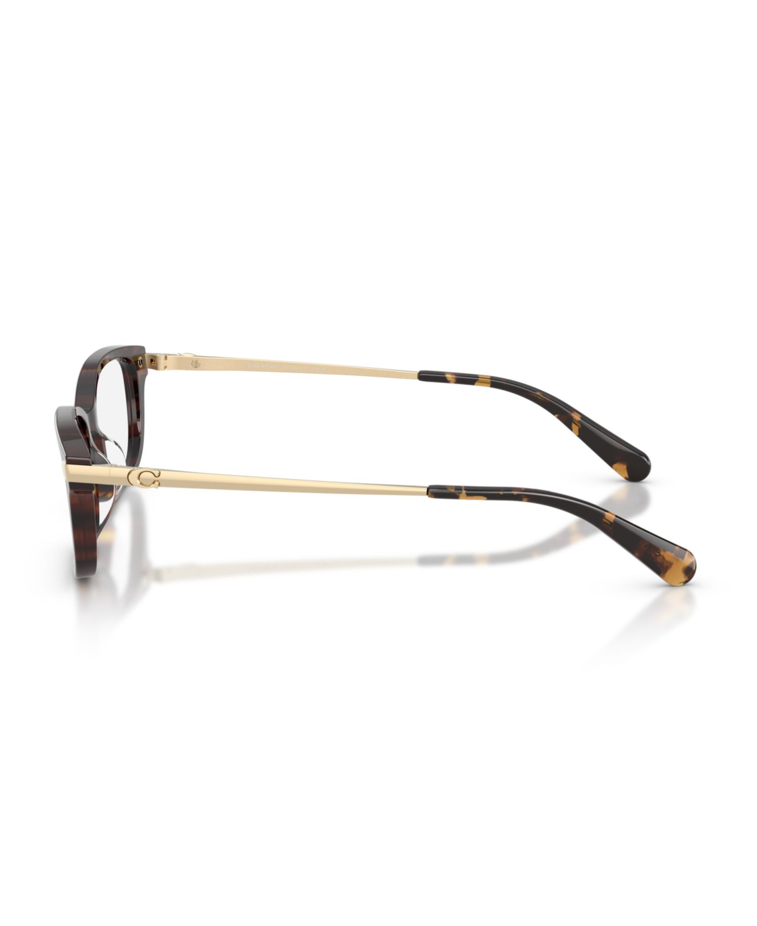 Woman Rectangle Plastic HC6287U Eyeglasses
