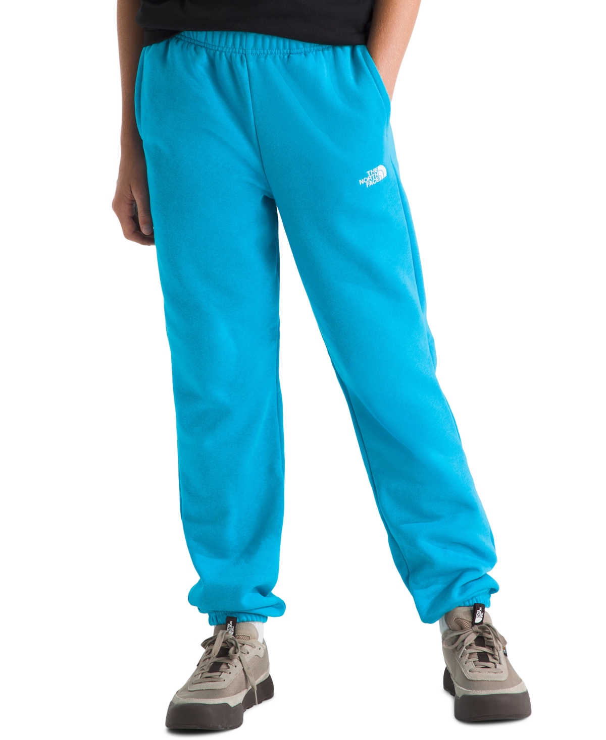 The North Face Boys' and Girls' 6-16 Evolution Simple Dome Regular Fit Pants