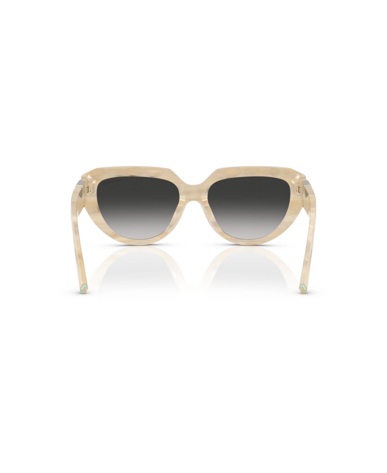 Women's Rectangle Sunglasses, TF4238U
