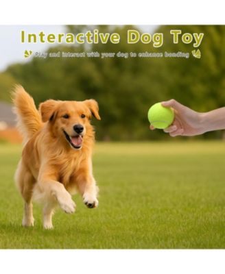 Pack of 6 Small Tennis Balls 2 Inch Size for Dogs High Visibility Yellow Pet Playing Balls for Automatic Ball Launchers