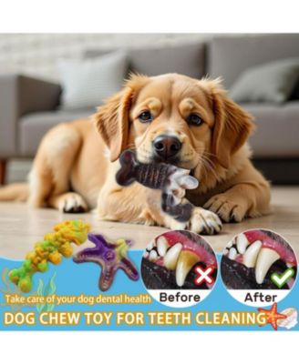 Pack of 3 Indestructible Dog Chew Toys for Aggressive Chewers Bacon Flavored Tough Nylon Bone Toys for Medium and Large Breeds