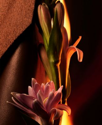 2-Pc. Man In Black Eau De Parfum Gift Set