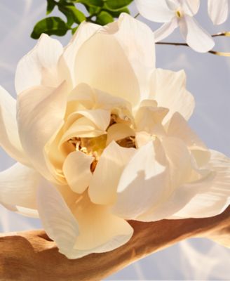 Omnia Crystalline Eau De Parfum, 1.7 oz.