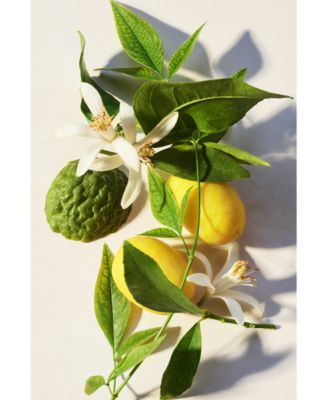 Eau Parfum&eacute;e Th&eacute; Vert Shower Gel, 10.1 oz.