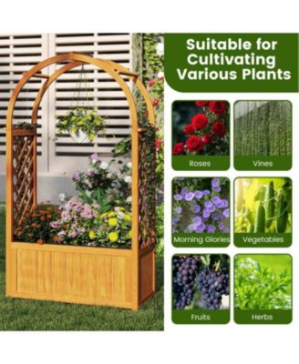 Outdoor Wooden Garden Bed with Lattice Trellis and Arch