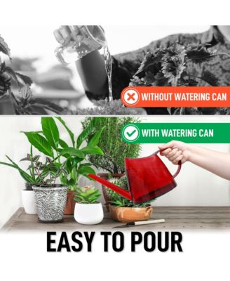 Small Watering Can with Long Slim Spout for Indoor Plants, 47oz