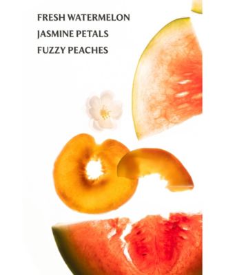 Power Mist Wild Watermelon Hydrating Hand Sanitizer, 1 oz.