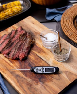 Fast Read Digital Probe Thermometer