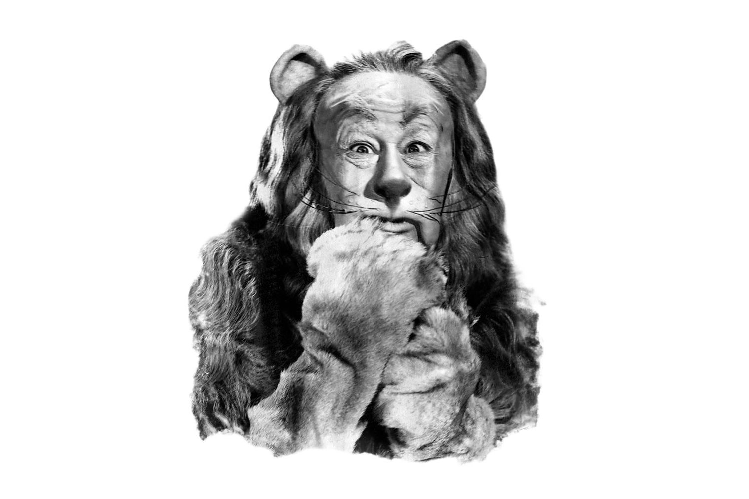 Men's The Cowardly Lion Photograph T-Shirt