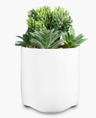 Power Plant Faux Succulent USB Charging Station