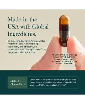 Adrenal Health Nightly Restore - Herbal Supplement with Ashwagandha, Magnolia Bark, Cordyceps - 120 Liquid Phyto-Caps (60 Servings)