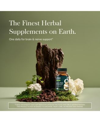 Lion's Mane Mushroom - Brain & Nerve Health Support - 40 Vegan Capsules (40 Servings)