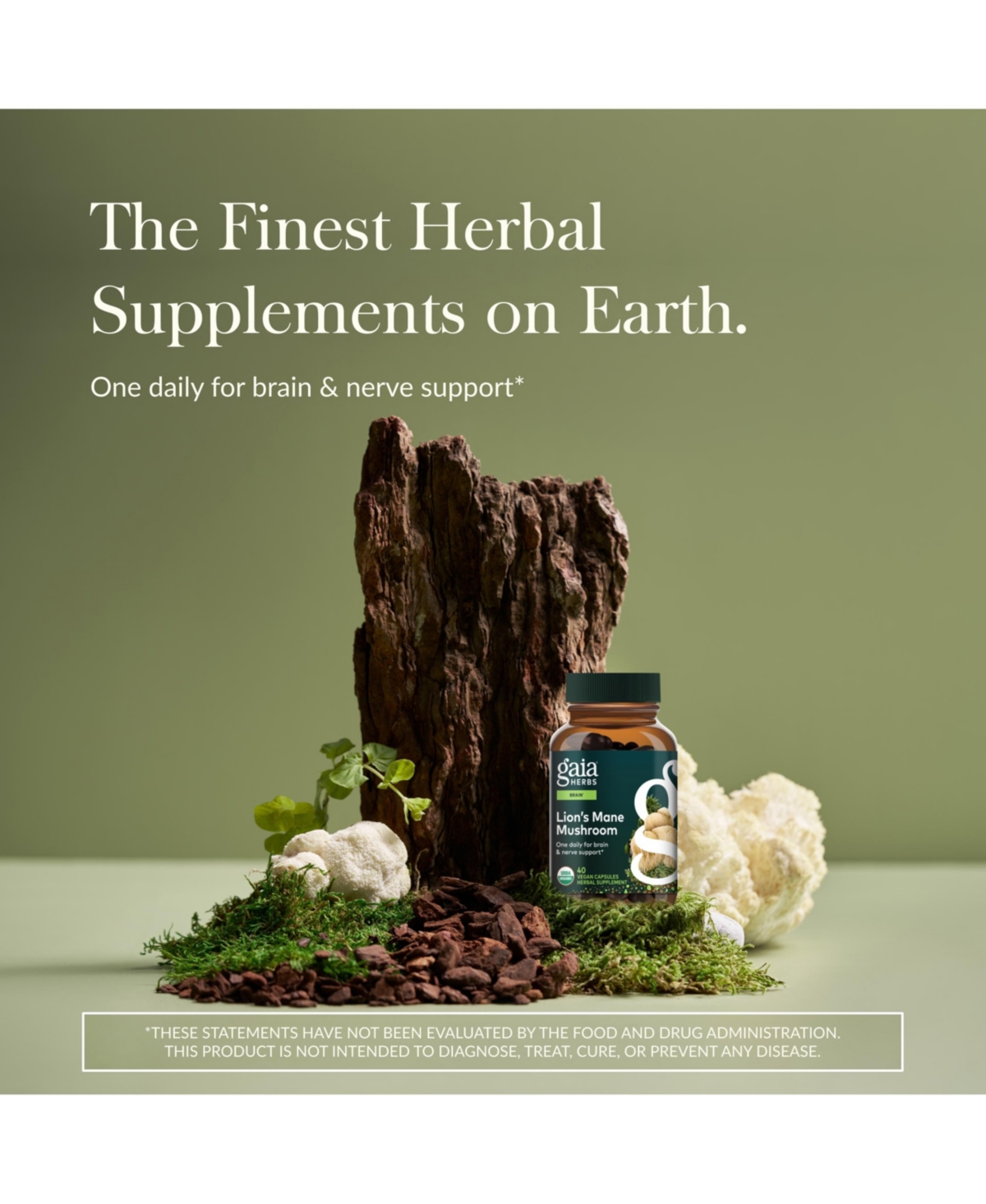 Gaia Herbs Organic Lion's Mane Mushroom - Brain and Nerve Support Supplement to Help Maintain Neurological Health