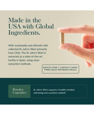 St. John's Wort - Stress Support Supplement - With St. John's Wort - 60 Capsules (60 Servings)