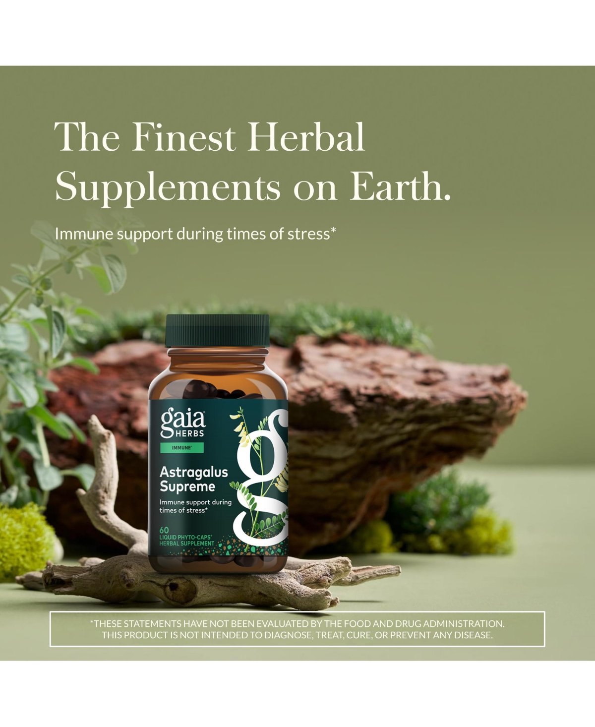 Gaia Herbs Astragalus Supreme - Immune and Antioxidant Support Herbal Supplement - With Astragalus Root, Schisandra Berry, and Ligustrum