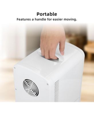 Portable Mini Fridge, 4L Skincare & Beverage Cooler (AC/DC)