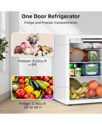 2.5 Cu. Ft. Compact Refrigerator with Chiller Compartment