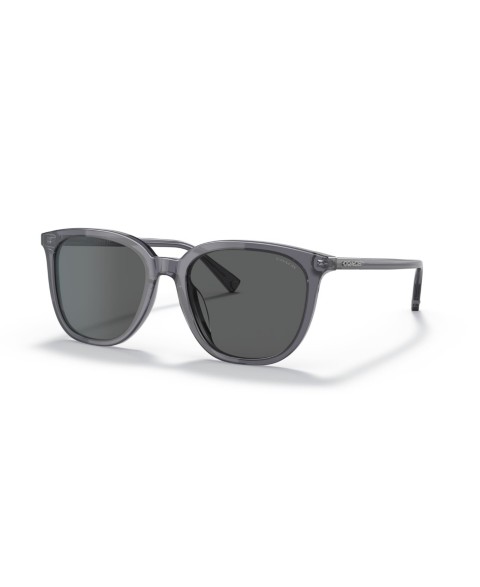 Мужские COACH Men's Square Sunglasses, C8006 HC8338U