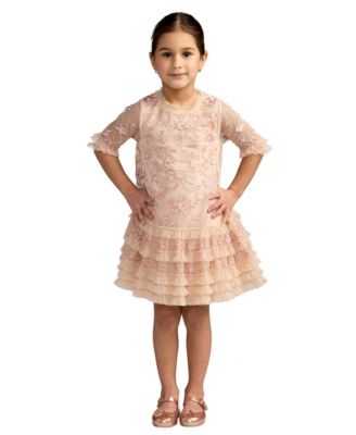 Big Girls Micro Ruffle Embroidered Mini Dress