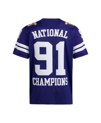 Men's Purple Washington Huskies 1991 National Championship Anniversary Icon Football Jersey