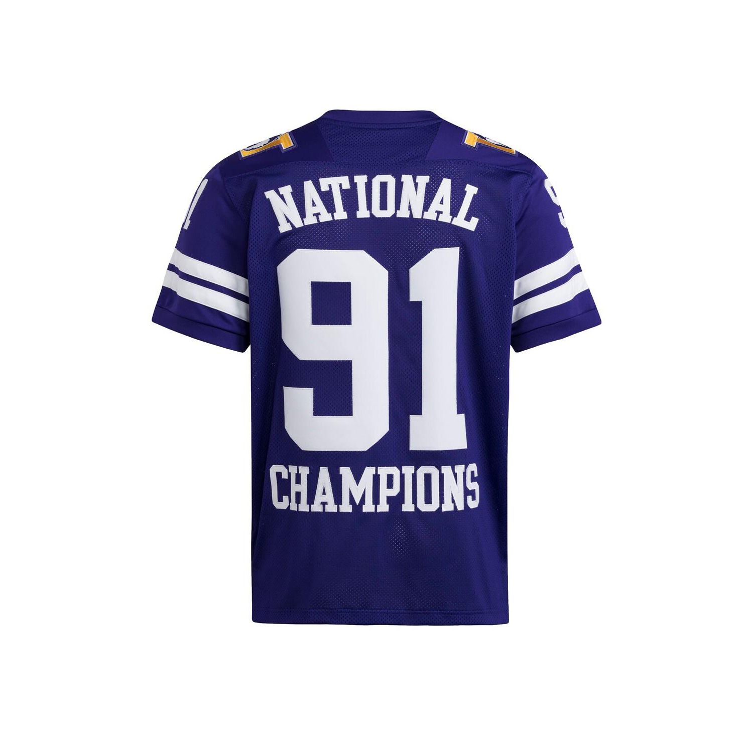 Men's Purple Washington Huskies 1991 National Championship Anniversary Icon Football Jersey
