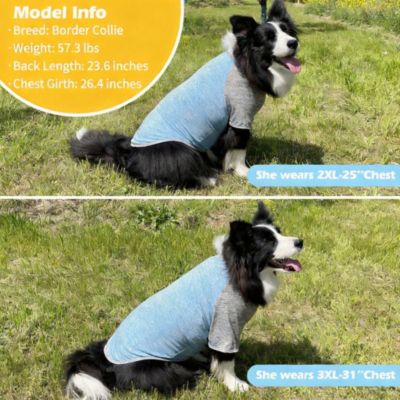 2-Pack Lightweight Athletic Dog T-Shirt with Reflective Label for Outdoor Use