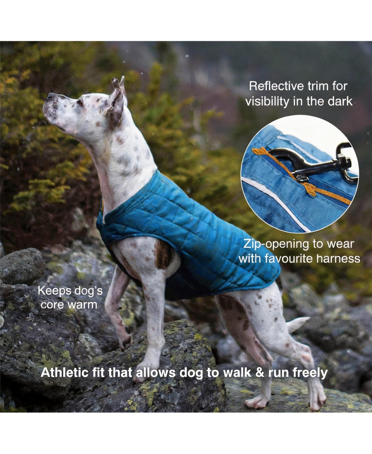 Aronkl Loft Dog Jacket: Insulated, Reversible, Water-Resistant, Reflective