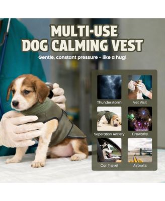 Dog Anxiety Jacket: Comfortable, Calming, Reflective