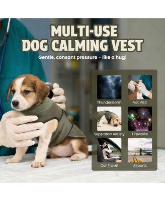 Dog Anxiety Jacket: Comfortable, Calming, Reflective