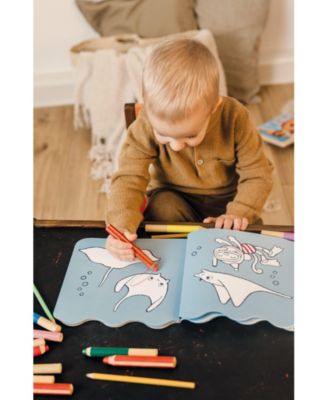 Little Artists Coloring Book Set