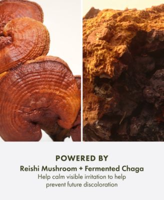 Mega-Mushroom Dark Spot Brightening Moisturizer