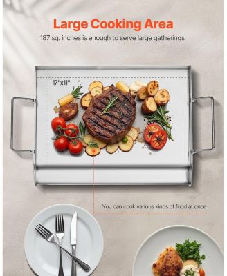 17 x 13 Inch Stainless Steel Griddle Plate for Gas Grill with Handles