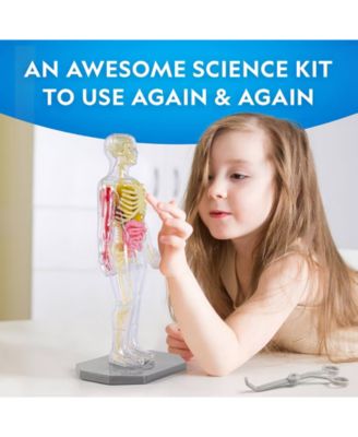 Glow-In-The-Dark Human Body