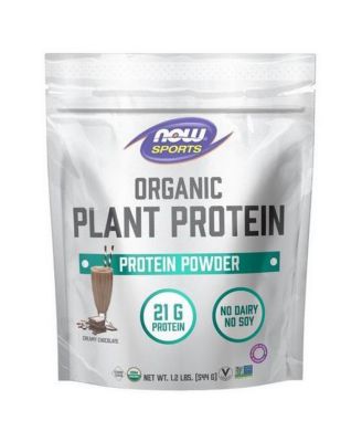 Organic Plant Protein Creamy Chocolate Powder, 1.2 Lbs