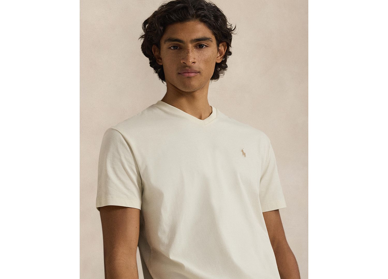 Men's Classic-Fit V-Neck T-Shirt