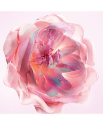 Miss Dior Melt-In Hand Cream, 1.7 oz.