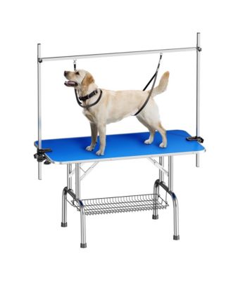  46" Blue Large Heavy Duty Pet Grooming Table for Dogs and Cats with Adjustable Arm