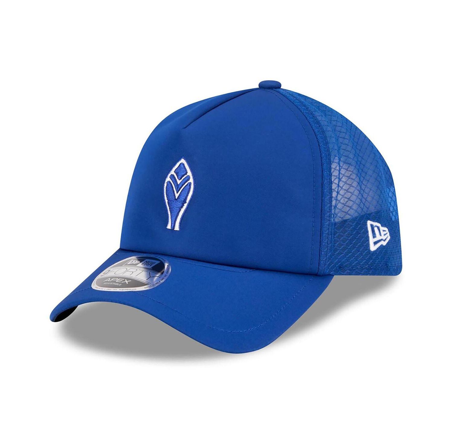 Men's Royal Atlanta Braves 2026 Batting Practice Alternate Apex 9FORTY Adjustable Hat