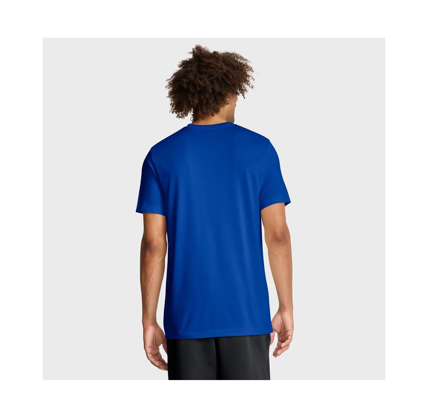 Men's Royal Florida Gators Primetime Baseball Icon Legend Dri-FIT T-Shirt