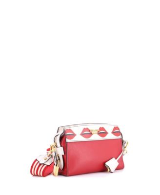 Small Esplanade Crossbody Bag Printed Saffiano and City Calf
