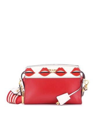 Small Esplanade Crossbody Bag Printed Saffiano and City Calf