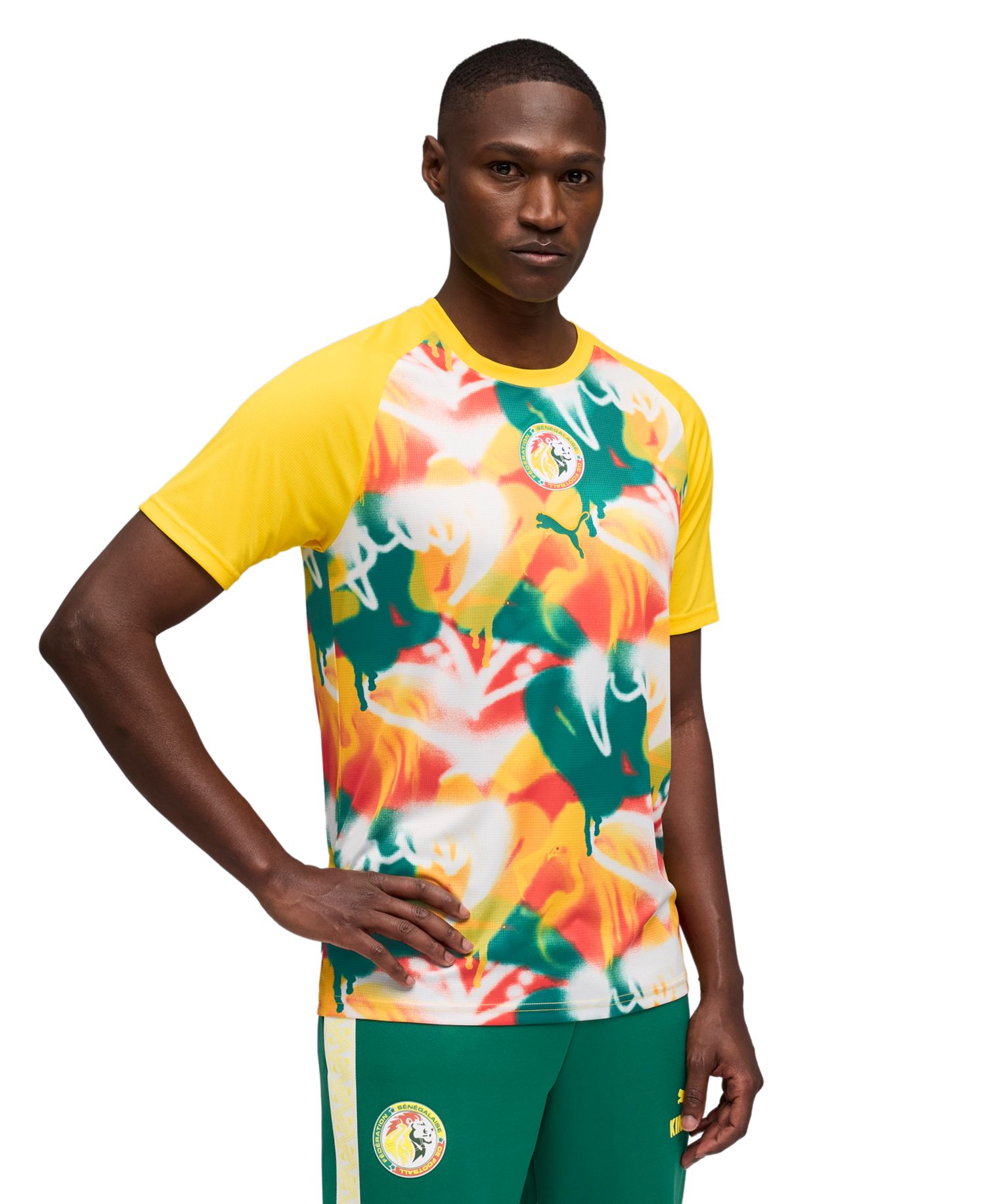 Men's Senegal National Team Puma Pre-Match Jersey
