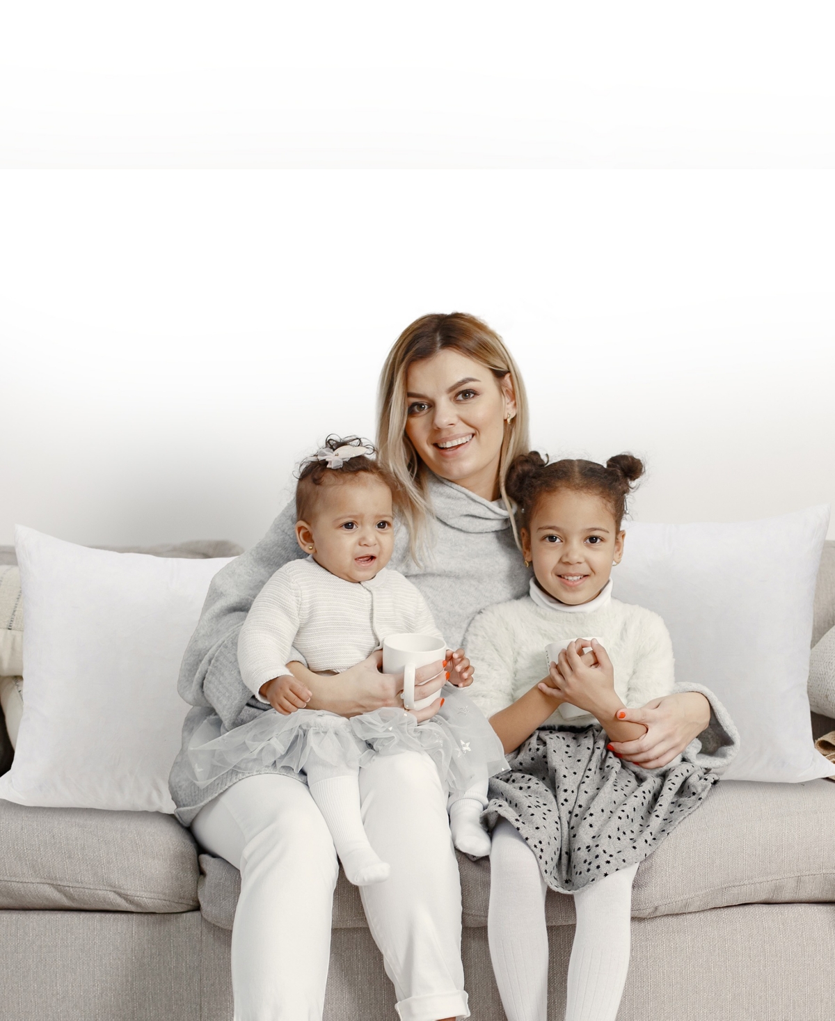 Cheer Collection 95% Feather/5% Down 2-Pack Pillow Inserts